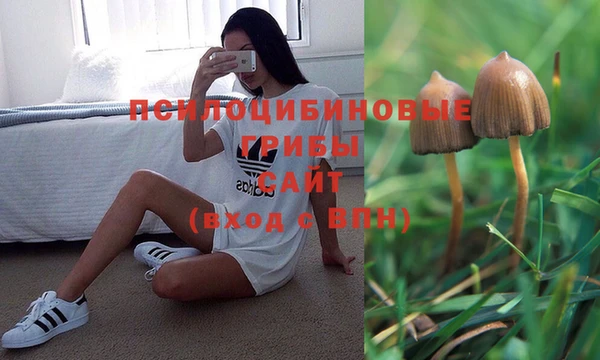 кристаллы Алзамай
