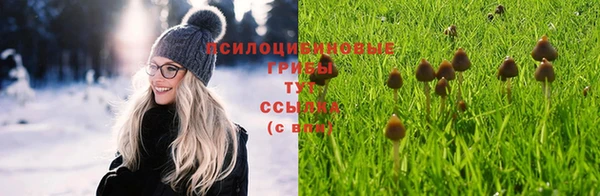 марки nbome Абаза