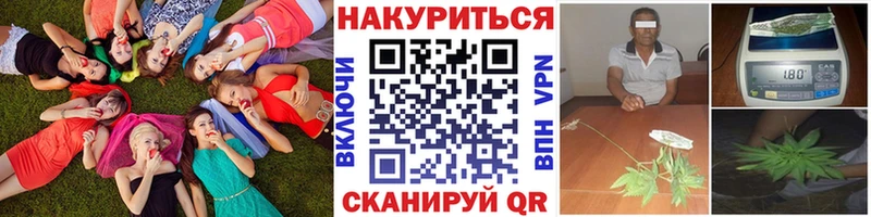 Каннабис ГИДРОПОН  Энем 